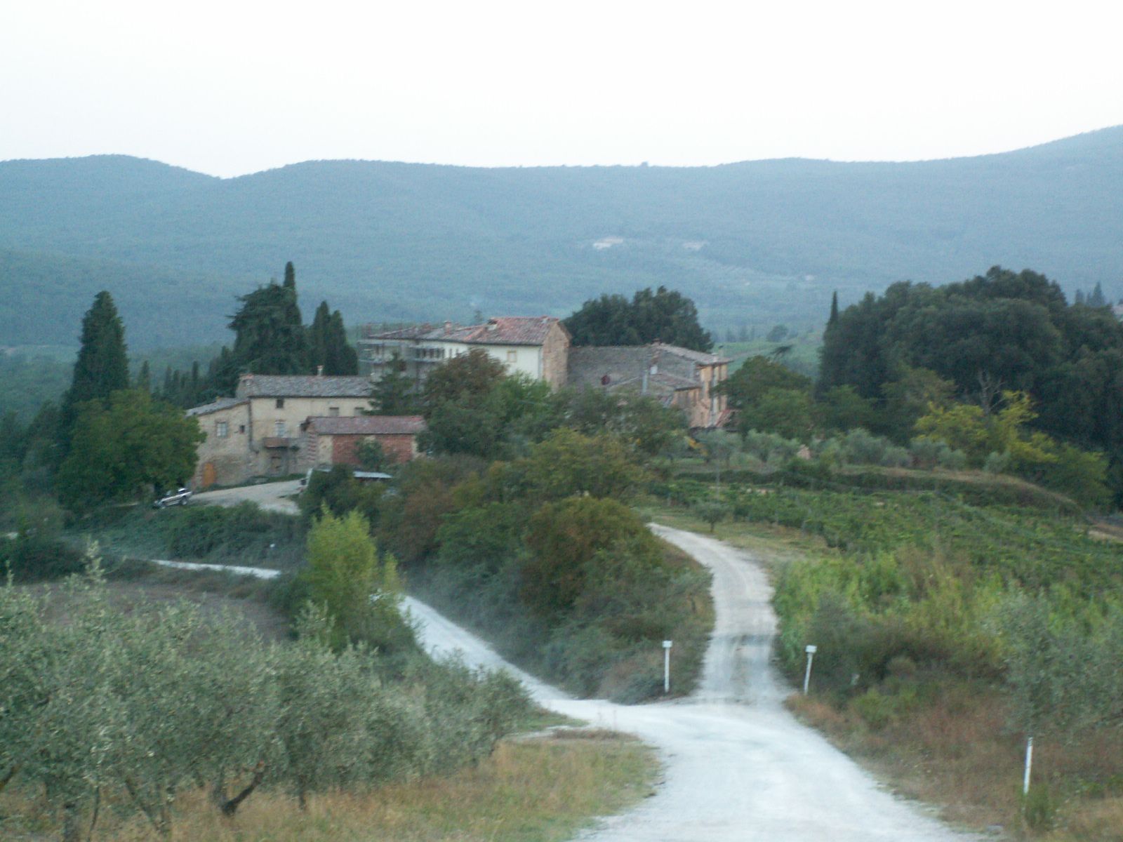 near Villa Trasqua, Toscania